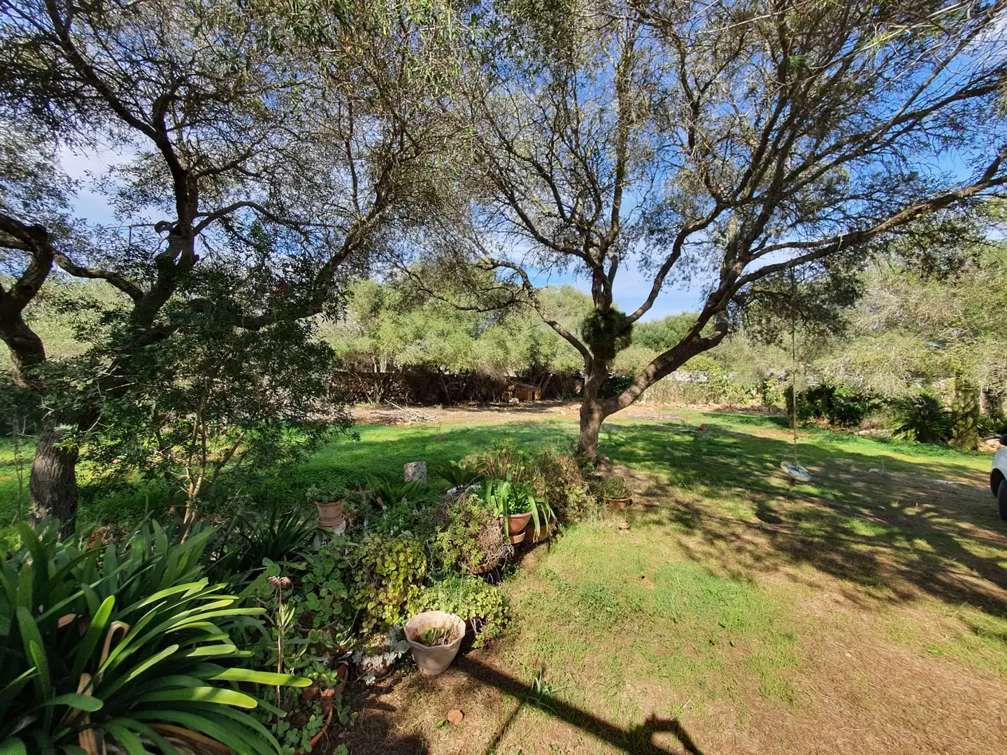 Casa rustica con giardino in affitto a Felanitx Poble, imagen 5
