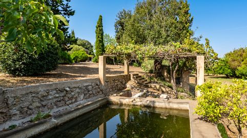 Photo 3 of Country homes for sale in Capdepera Poble, Capdepera