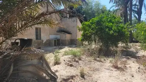 Country homes for sale in Elche / Elx, Alicante