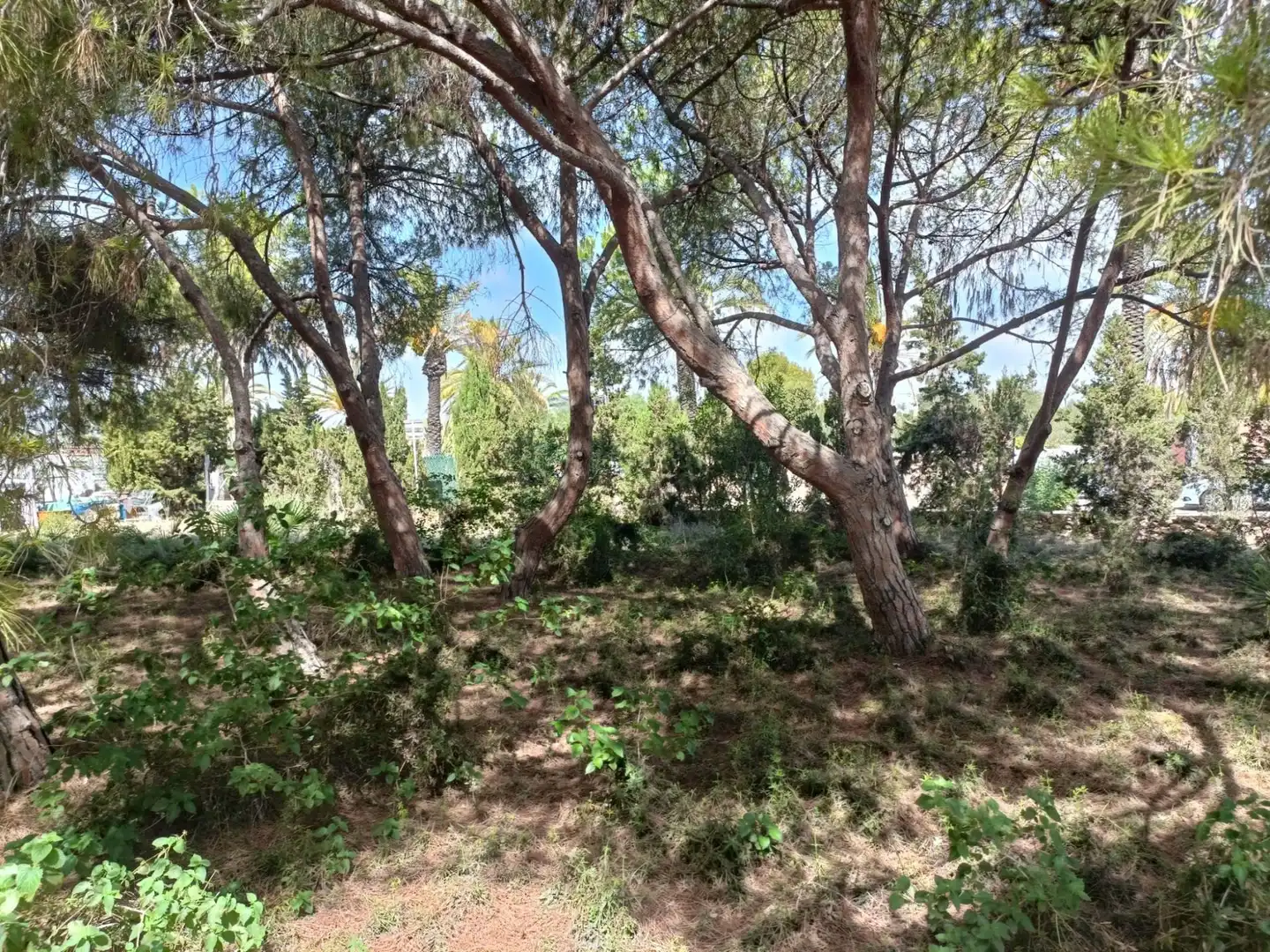Residencial en venda en Orihuela