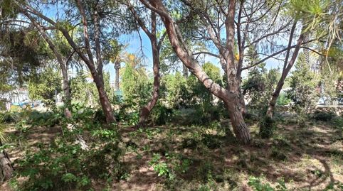 Foto 4 de Residencial en venta en N/a, -1, Cabo Roig, Orihuela