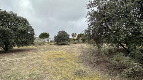 Photo 3 of Residential for sale in Valdepastores - Las Encinas, Madrid
