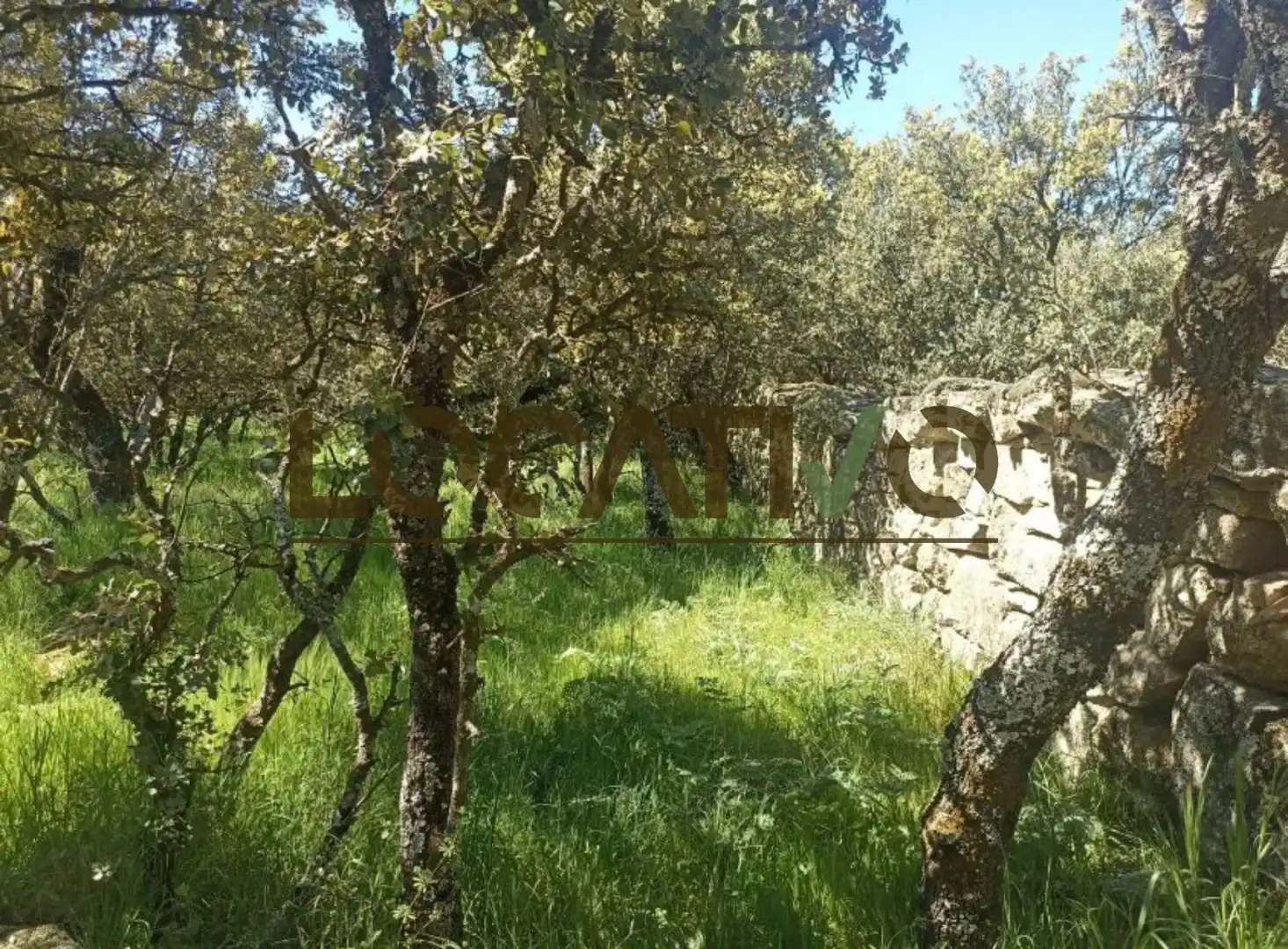 Terrenys i solars en venda a Las Zorreras - Monte Encinar, imagen 5