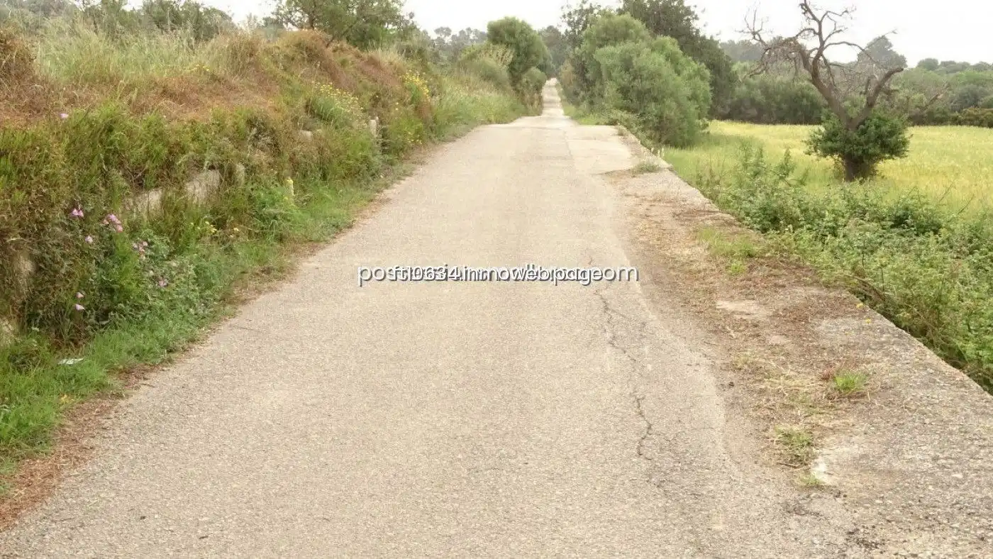 Terreno rustico in vendita a Llucmajor pueblo, imagen 20
