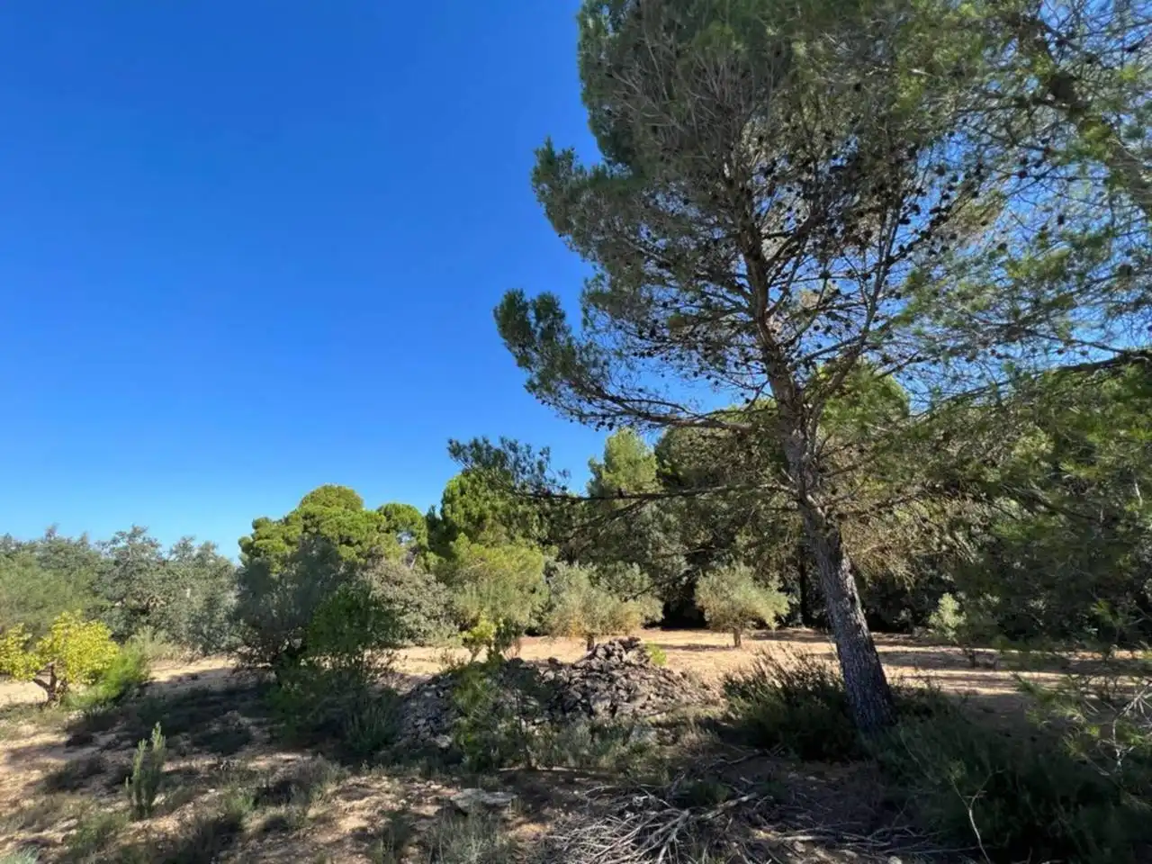 Chalet en venta en Banyeres de Mariola, imagen 40