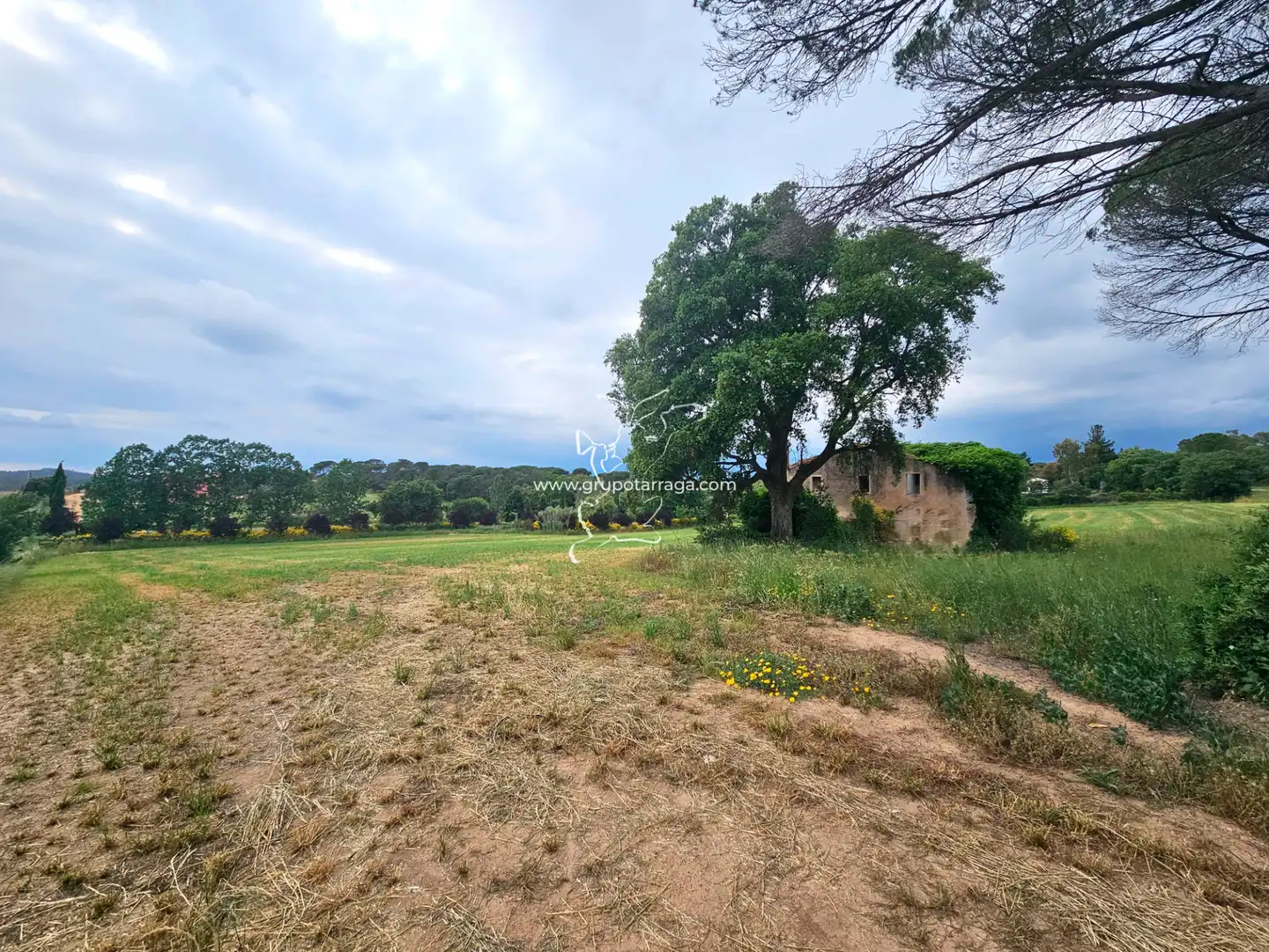 Country house zum Verkauf in Maçanet de la Selva