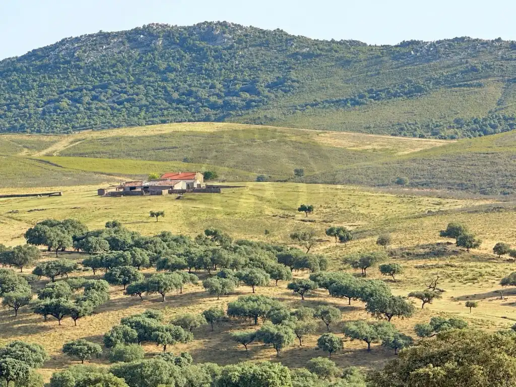 Casa rústica en venta en Poligono 3 Paraje 94 Quejigoso