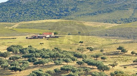 Espectacular finca de 242 hectáreas junto al Geoparque VilluercasIboresJara. Cáceres. España.