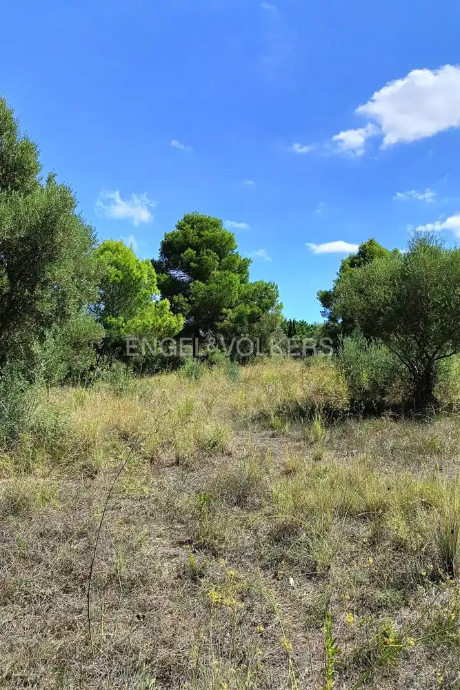 Terrenys i solars en venda a Pedreguer, imagen 4
