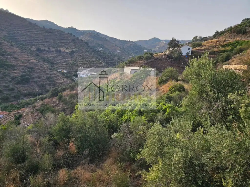Casa rústica en venta en Torrox Pueblo, imagen 10