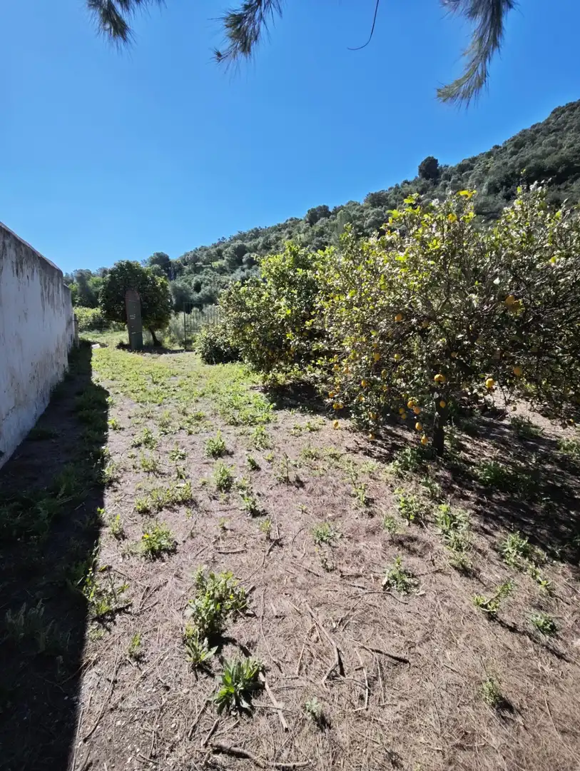 Finca rústica en venda en Cártama