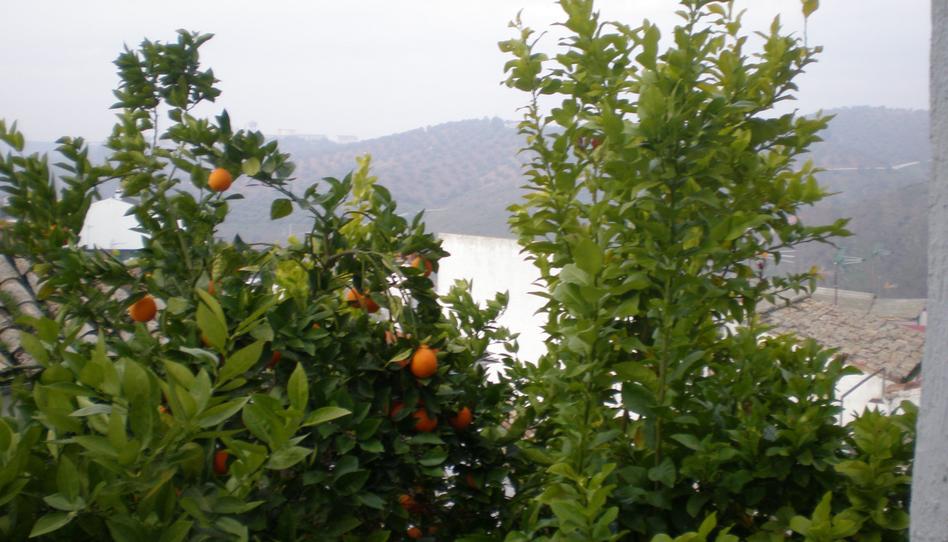Foto 1 de Casa o xalet en venda a Montoro, Córdoba