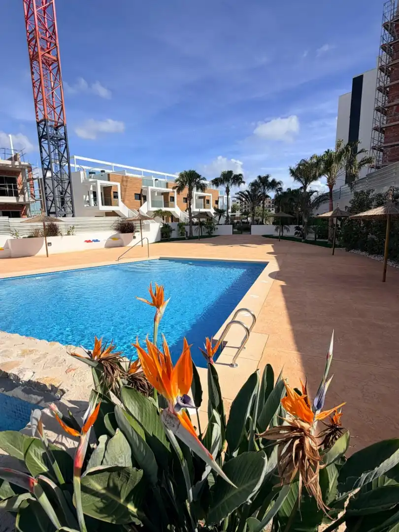 Piscina de Casa o xalet en venda en Mil Palmeras