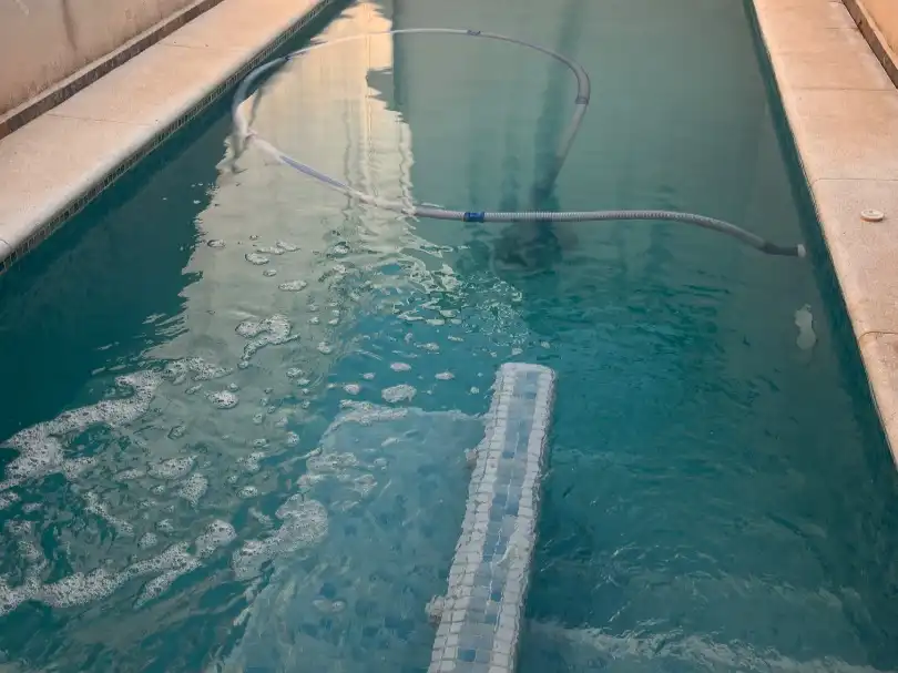 Piscina de Casa o chalet en venta en San José de la Rinconada