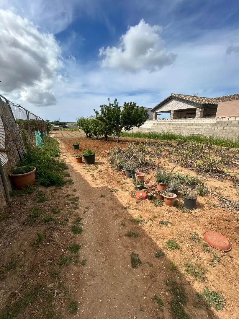 Houses for sale in Chiclana de la Frontera