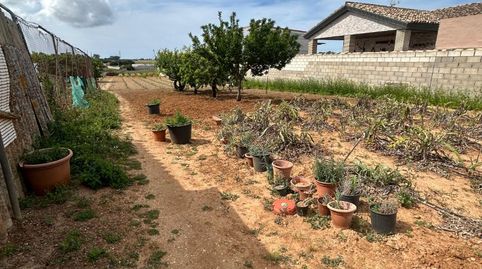 Photo 2 of Houses for sale in La Soledad, Chiclana de la Frontera