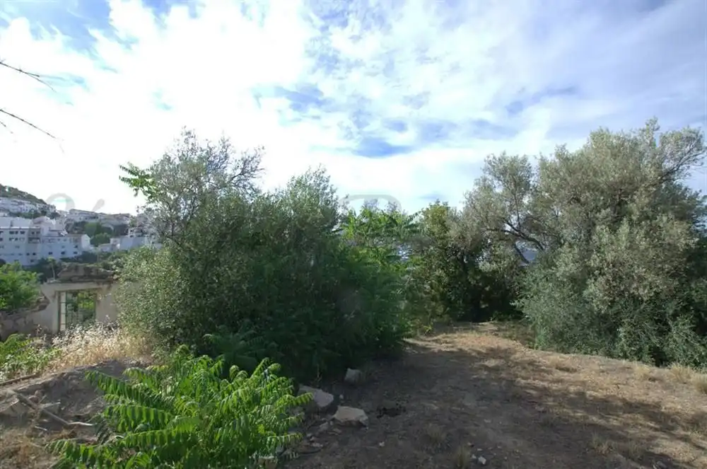 Terreno residencial en venta en Canillas de Aceituno, imagen 6
