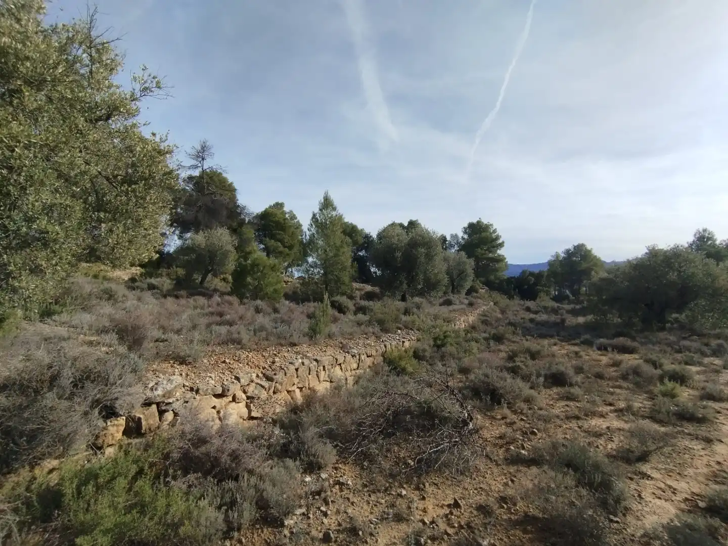 Casa o chalet en venta en Valderrobres con Amueblado