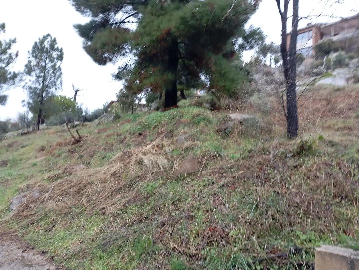 Terreni e lotti in vendita a Robledo de Chavela, imagen 28