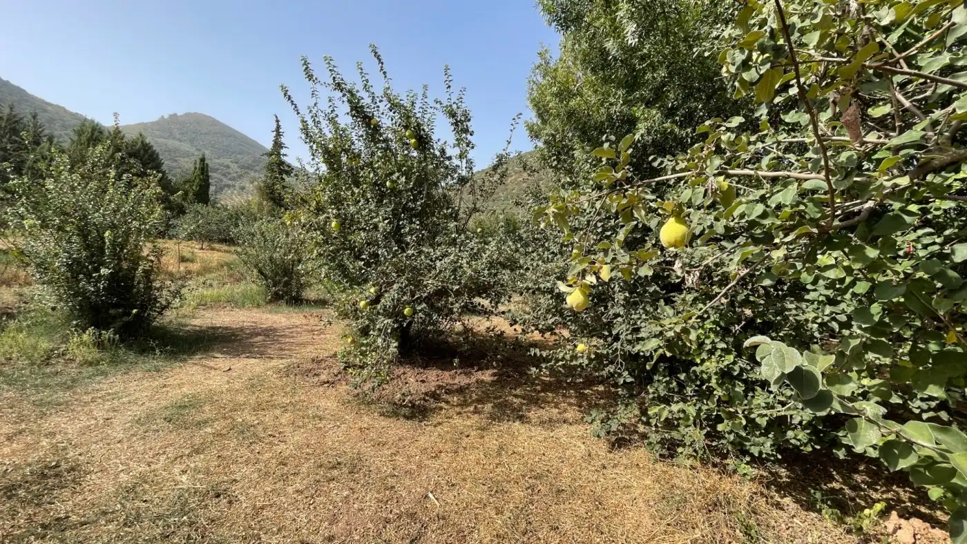 Casa o xalet en venda en Carcabuey amb Calefacció, Jardí privat i Terrassa