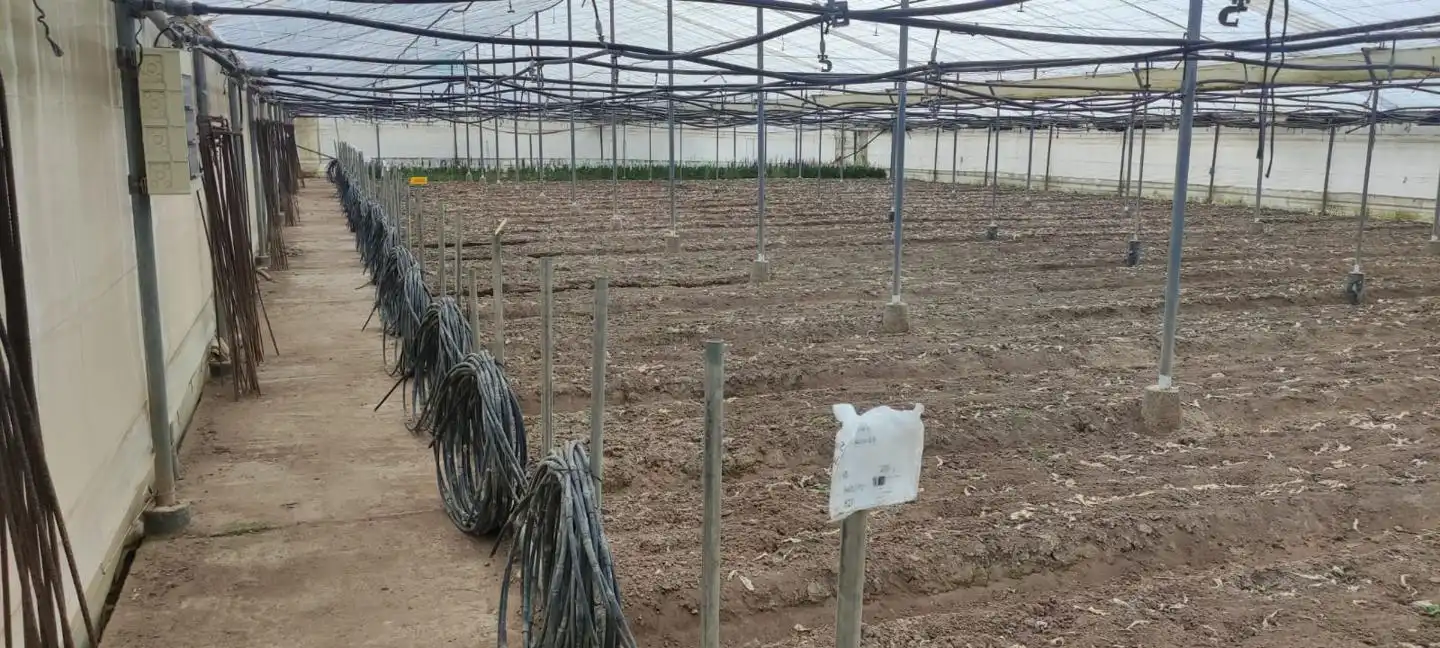 Terreni e lotti in vendita a De Jerez, imagen 12