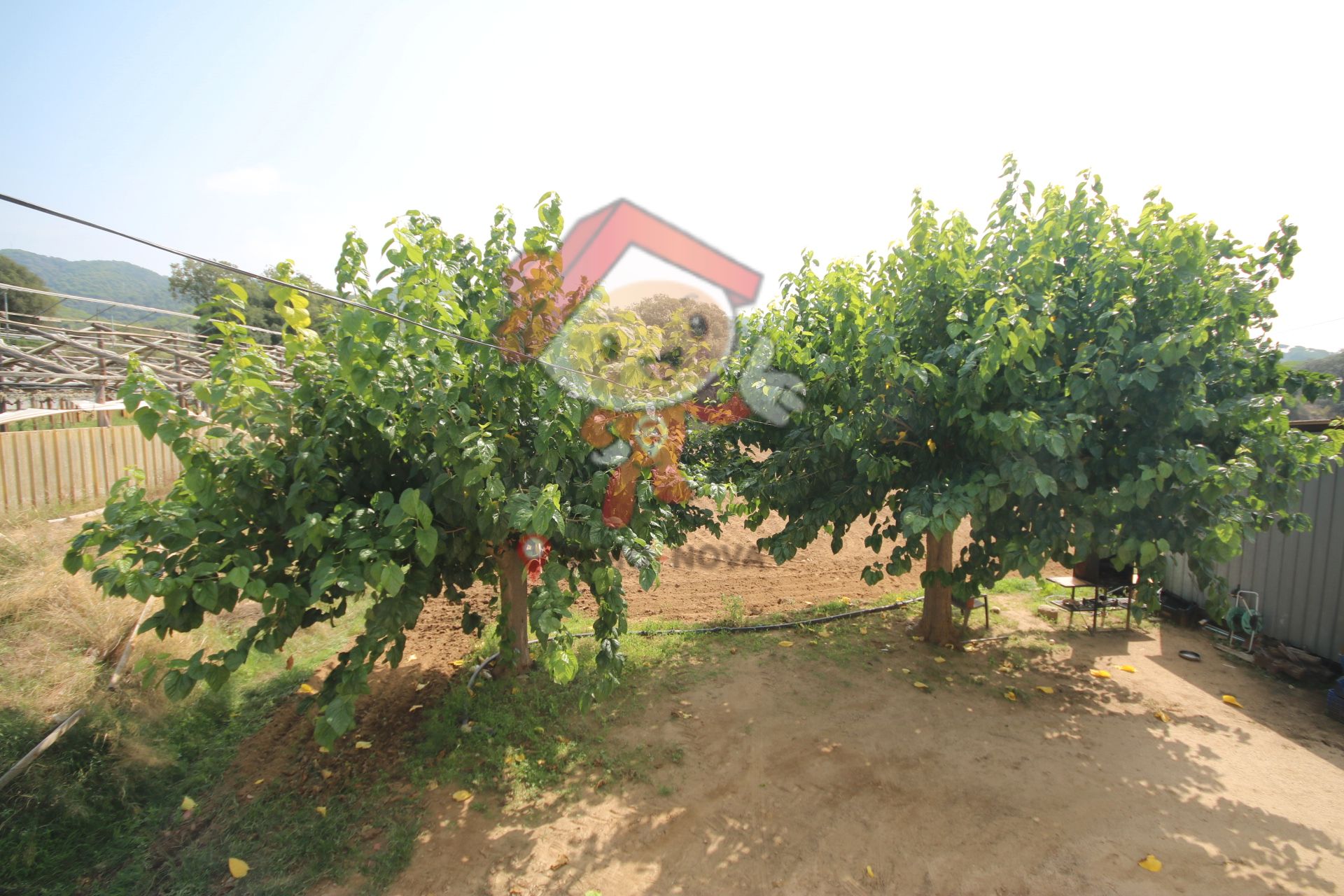 Finca rústica en venda a Carrer Lladó, Nucli Urbà