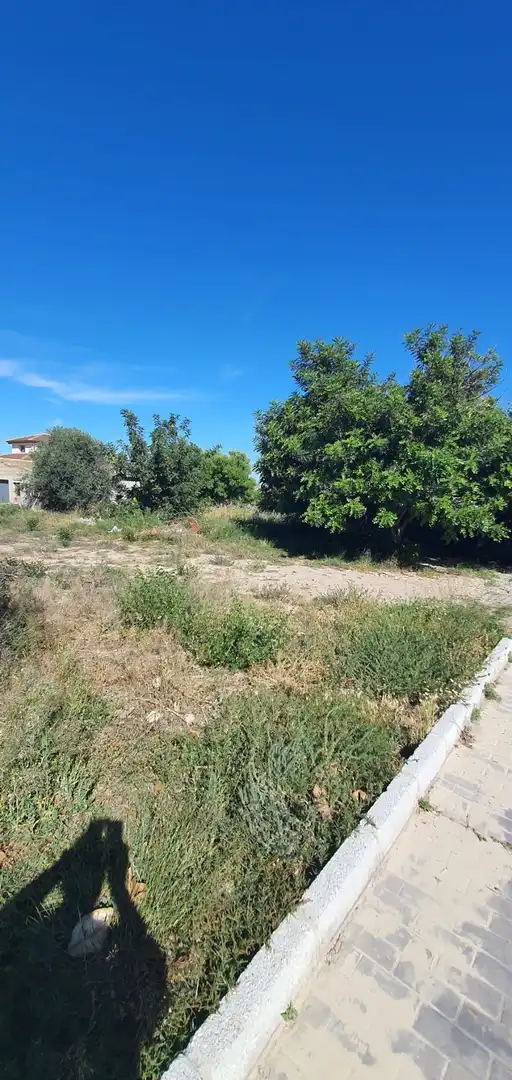 Terrenys i solars en venda a Cantoria, imagen 7
