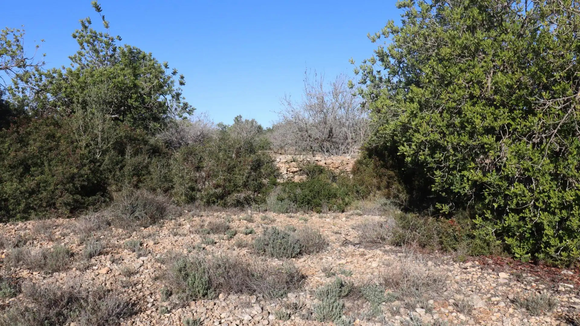 Rural land for sale in Partidas de interior - Zona Rústica, imagen 9
