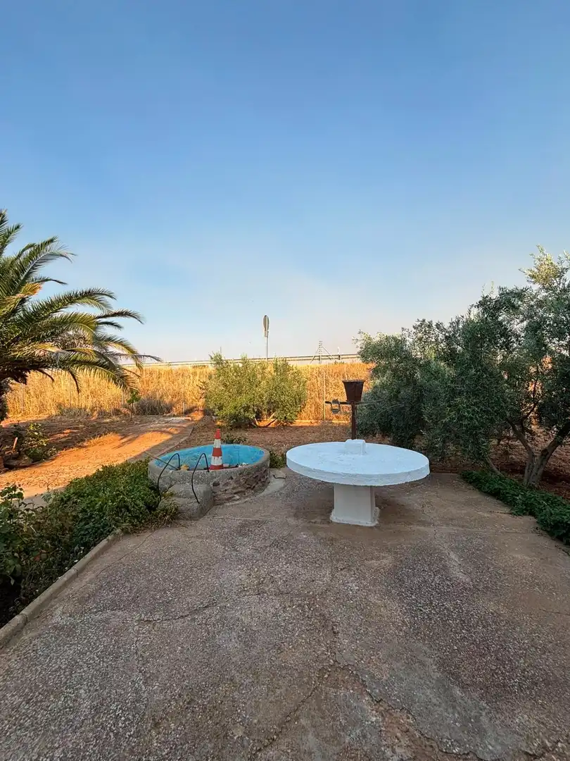 Terrassa de Casa o xalet en venda en Valdepeñas