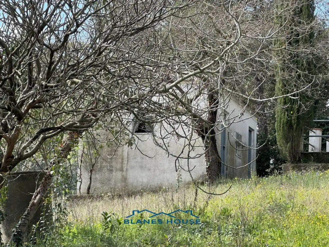 House with garden for sale in Calle Arbres 0´, imagen 6