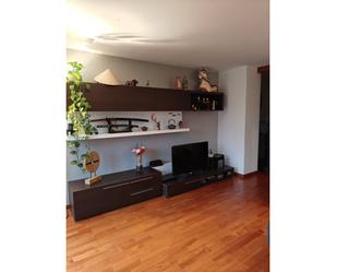 Sala d'estar de Casa adosada en venda en Sant Joan Les Fonts amb Calefacció, Jardí privat i Parquet