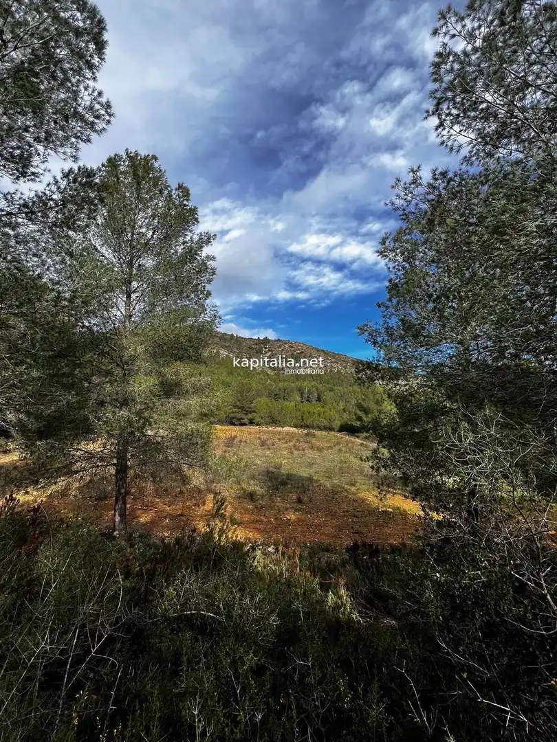 Terreny rústic en venda a L'Olleria, imagen 4