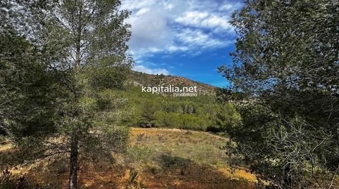Terreno a la venta en Olleria, immagine 4