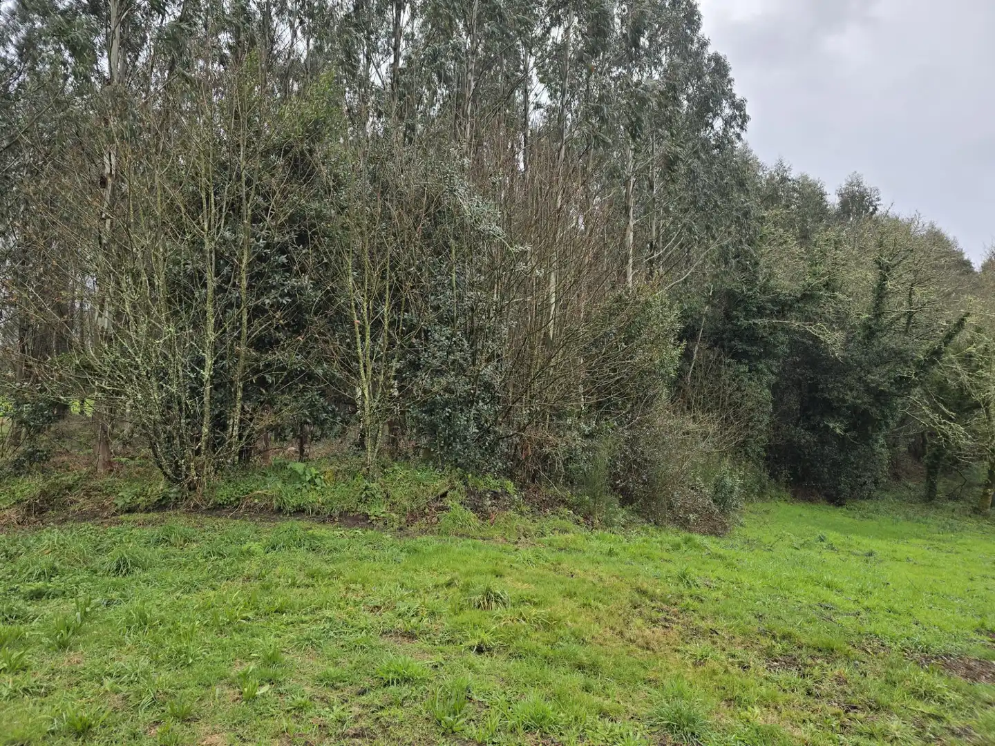 Finca rústica en venda en Cerceda amb Jardí privat