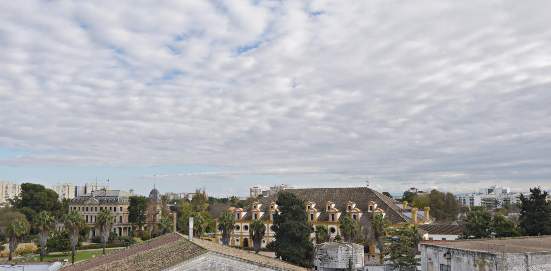 Exterior view of Flat for sale in Jerez de la Frontera  with Air Conditioner, Private garden and Storage room