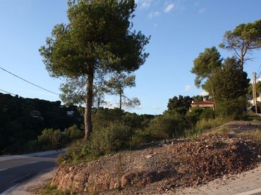 Terreno residenziale in vendita a Vial Camino 2