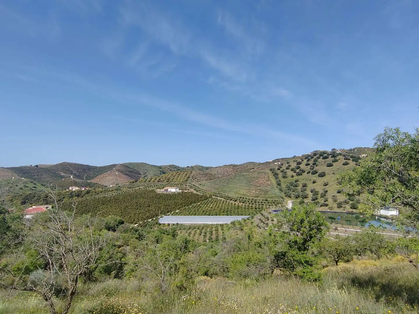Casa rustica in vendita a Vélez-Málaga ciudad, imagen 5