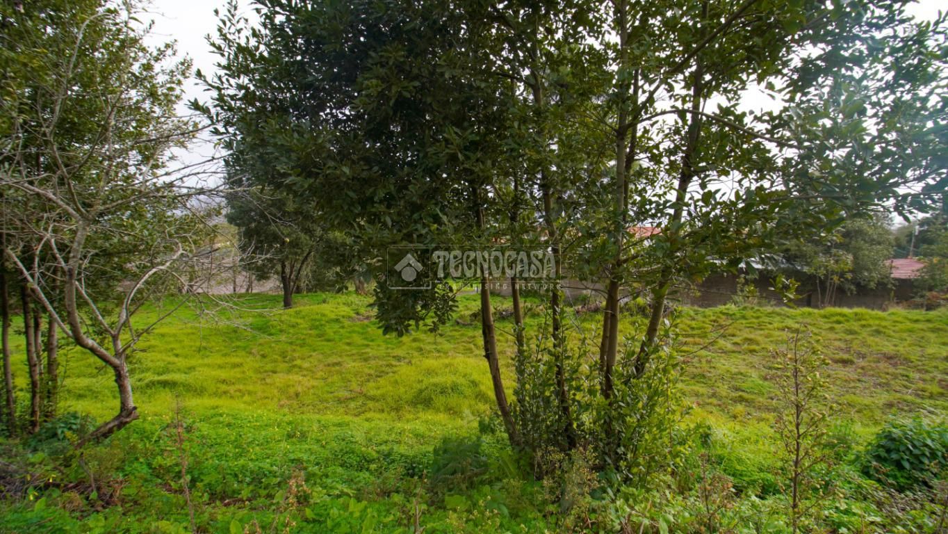 Land for sale in El Rosario