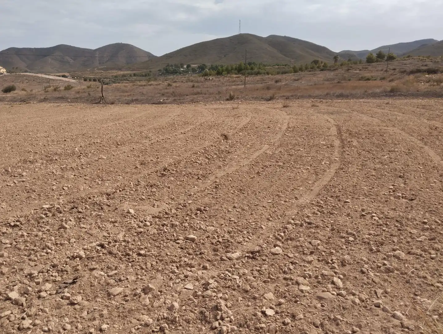 Terreni e lotti in vendita a Pedanías Sur, imagen 6
