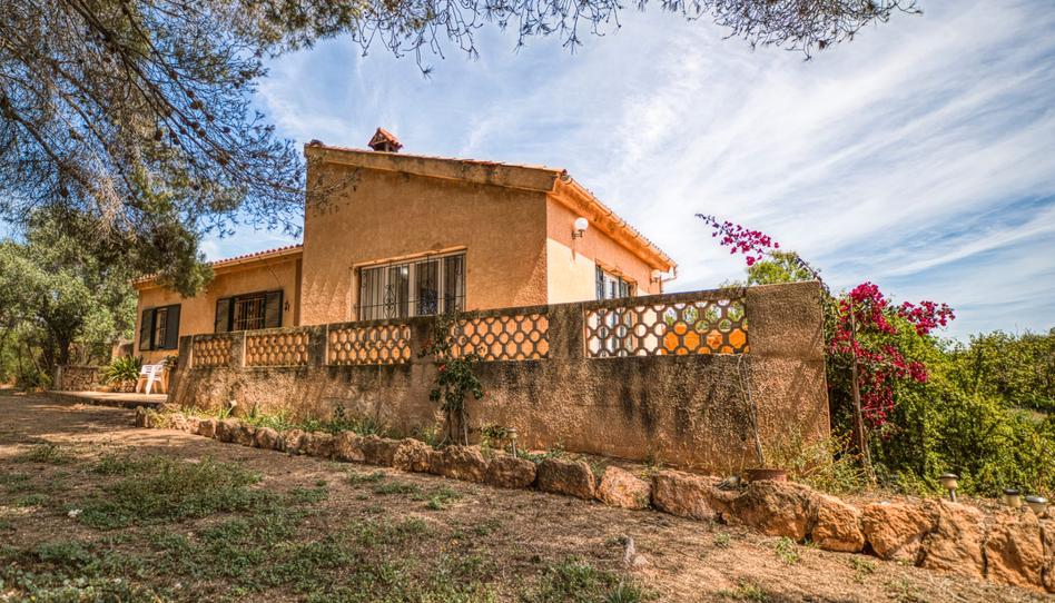 Foto 1 de Finca rústica en venta en Llucmajor pueblo, Illes Balears