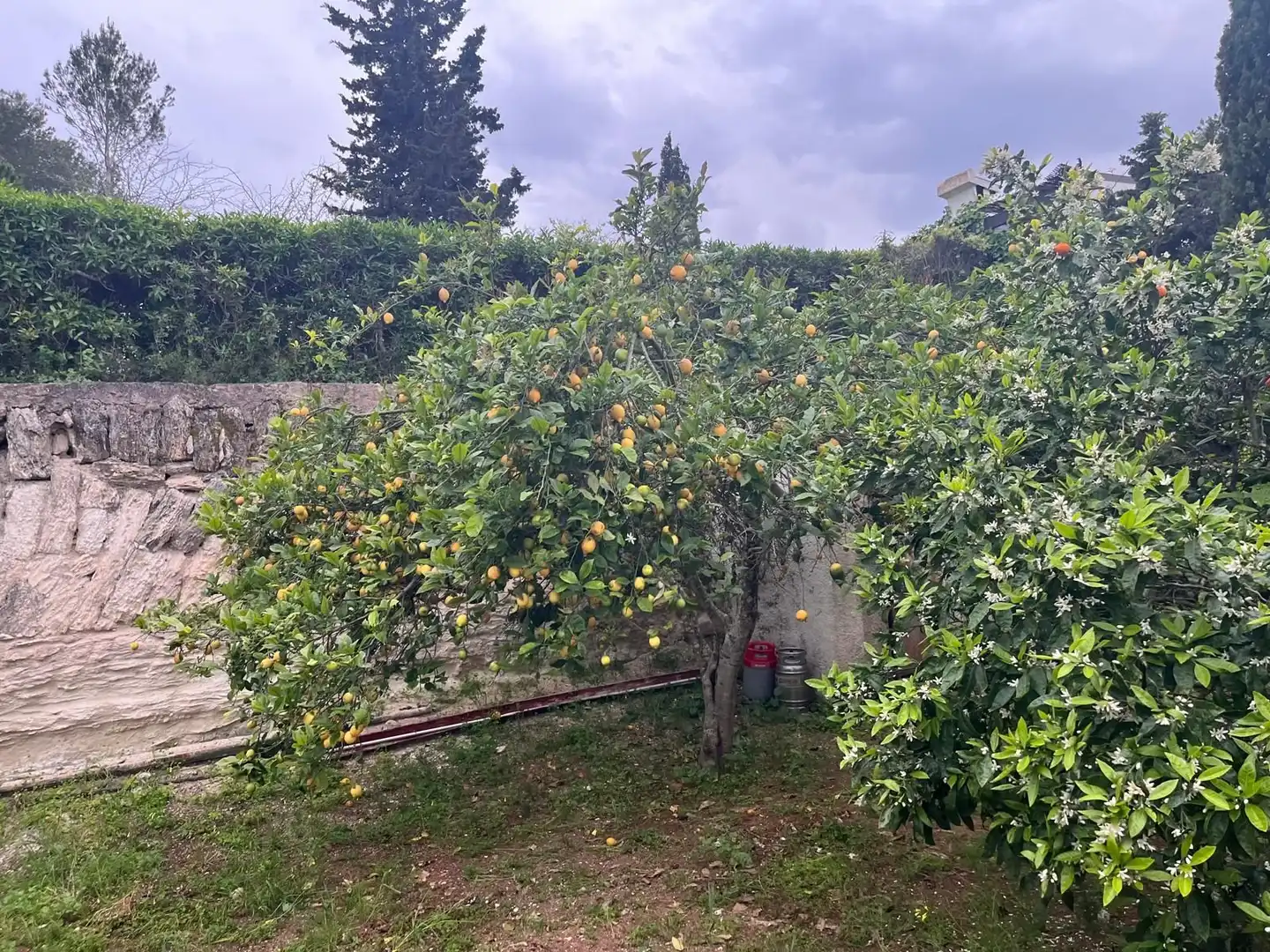 Chalet en venta en Cap Martí - El Tossalet - Pinomar, imagen 37