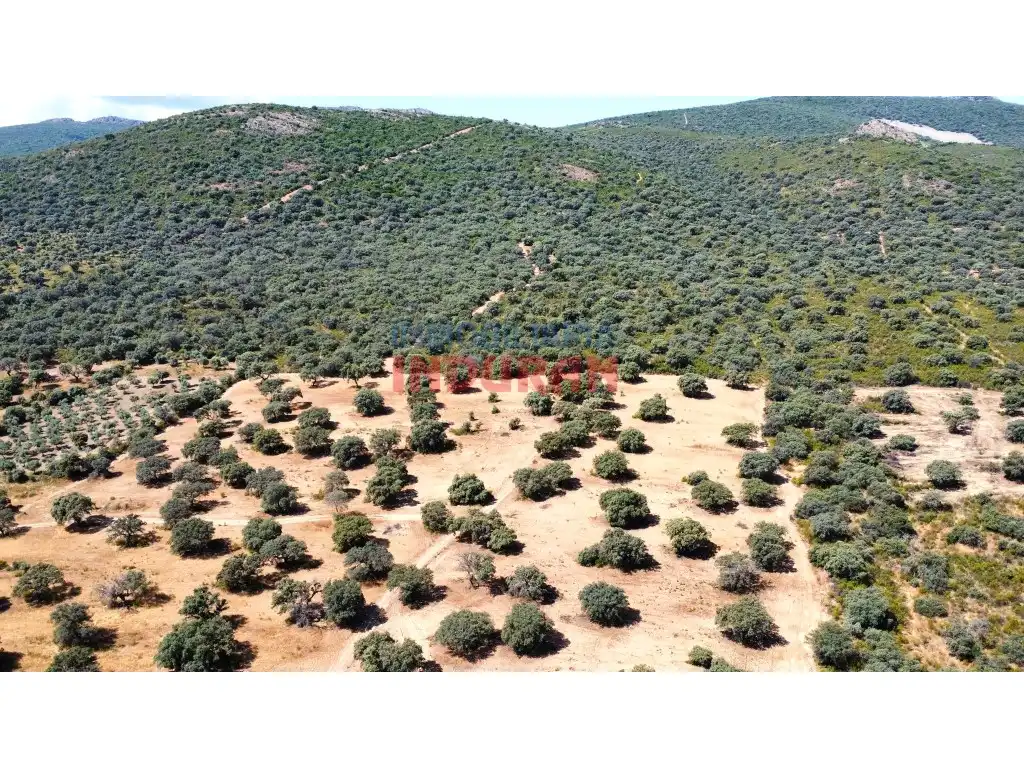 Finca rústica en venda en Villar del Pedroso