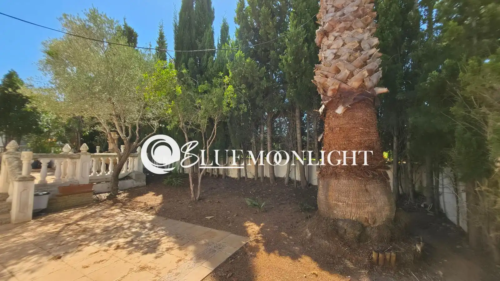 Villa avec piscine à vendre à barranc de moles, imagen 9