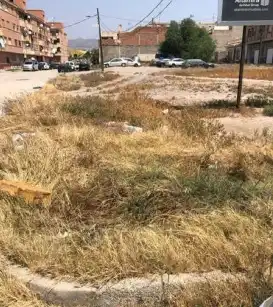 Terreny rústic en venda a C/ Jaén, imagen 7
