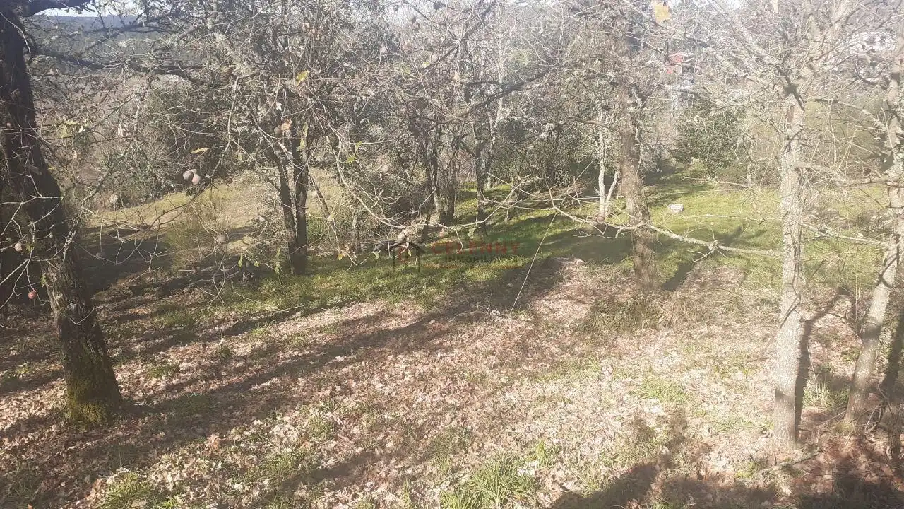 Terreni e lotti in vendita a San Cibrao das Viñas, imagen 6