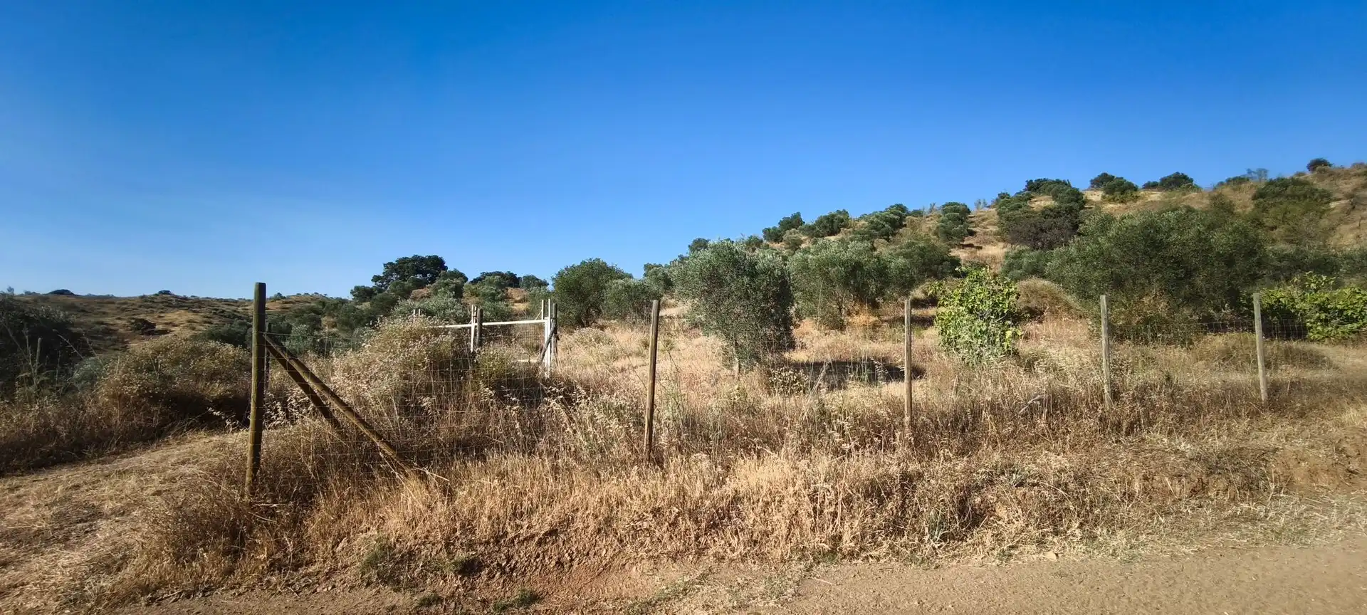 Terreni e lotti in vendita a Álora, imagen 3