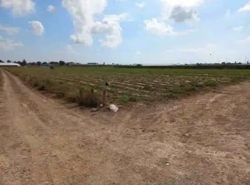 Terreno en venta en Partida Torre de Aguado , Dolores de Pacheco - Santa Rosalía