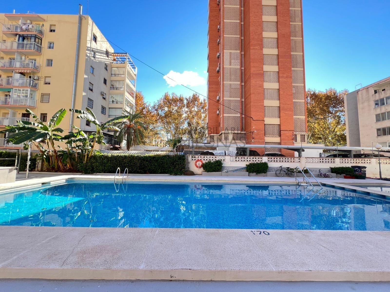 Piscina de Apartament en venda en Benidorm amb Aire condicionat, Jardí privat i Piscina comunitària