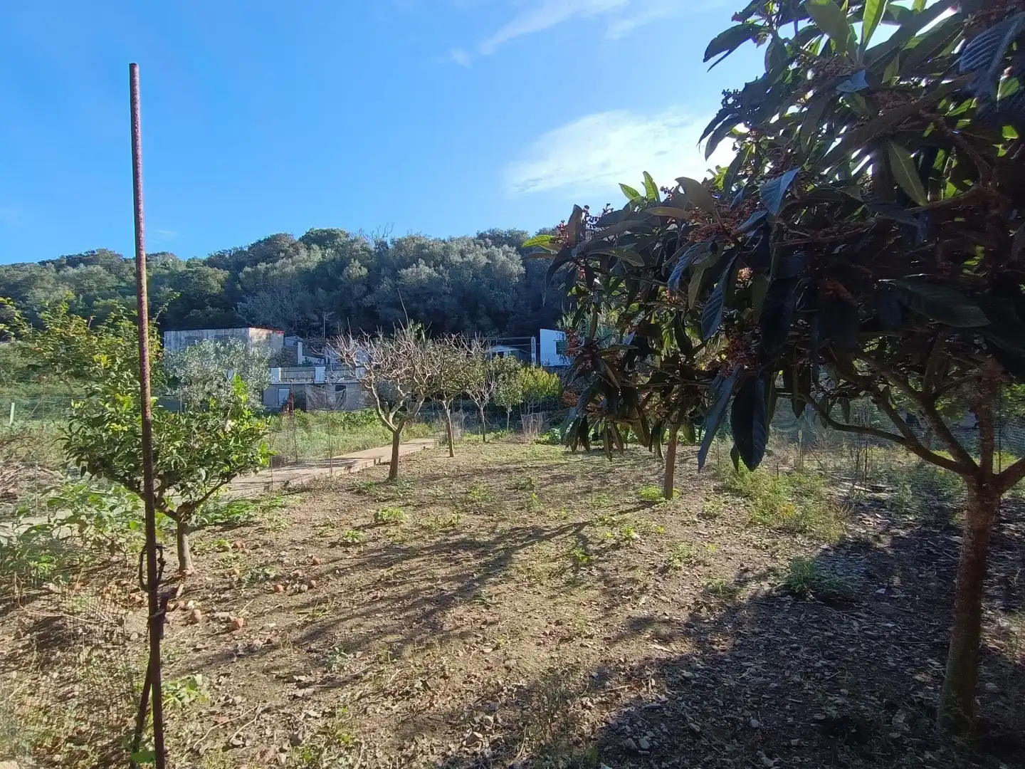 Terreno en venta en Maó - Mahón