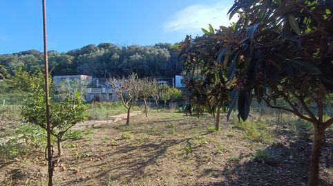 Foto 3 de Terreno en venta en Es Grau - Serra Morena, Maó - Mahón